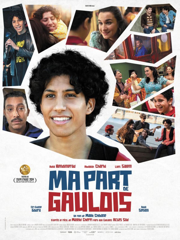 You are currently viewing Ma part de Gaulois