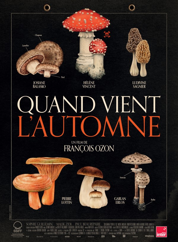 You are currently viewing Quand vient l’automne