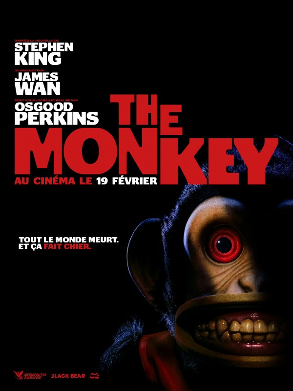 You are currently viewing The monkey int-12 ans