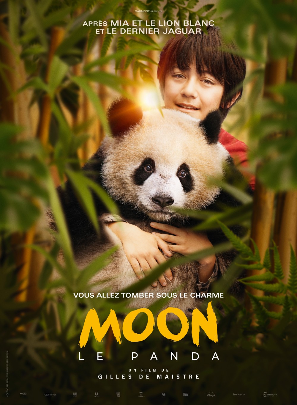 Lire la suite à propos de l’article Moon le Panda