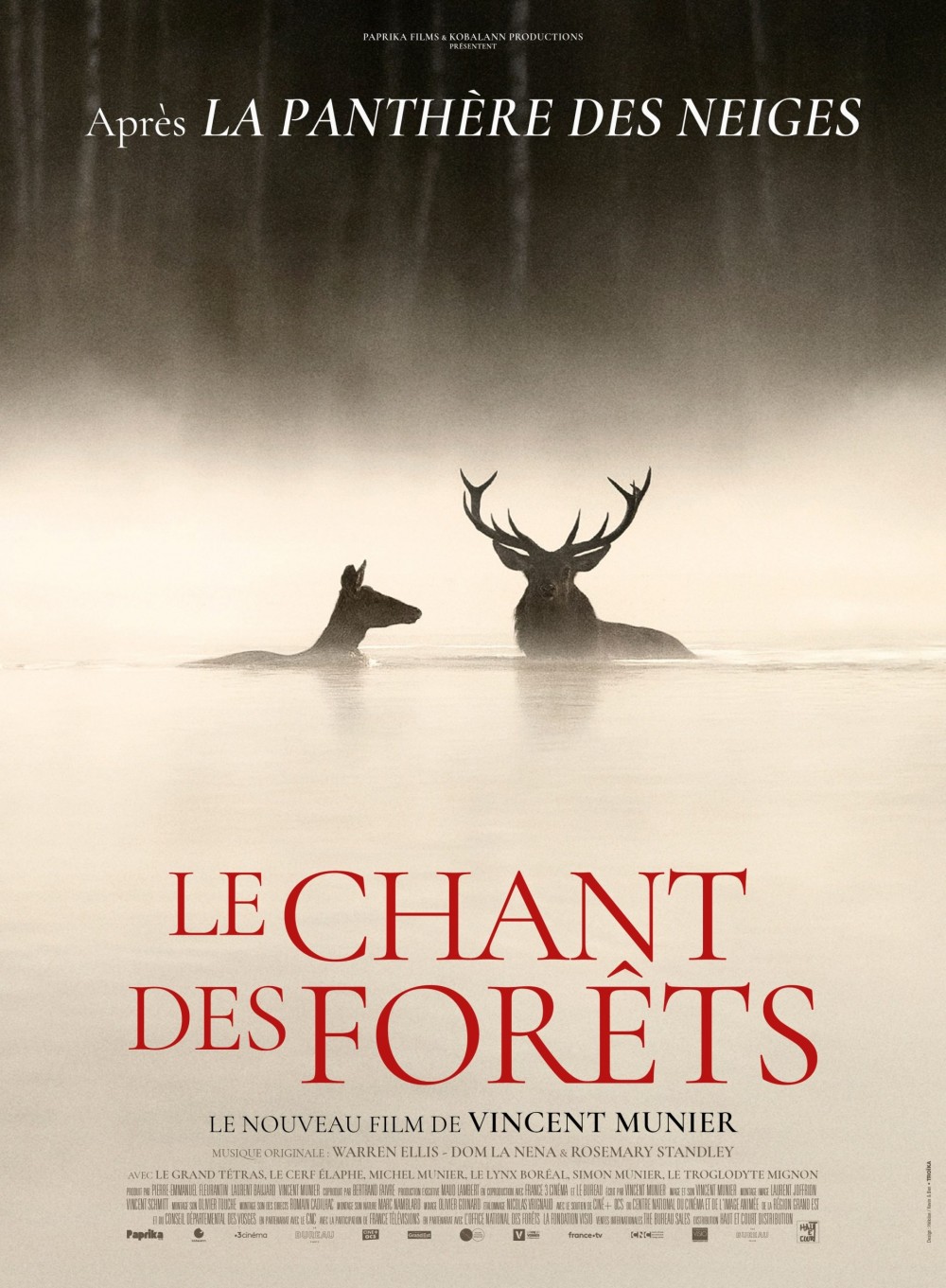 You are currently viewing Le chant des forets