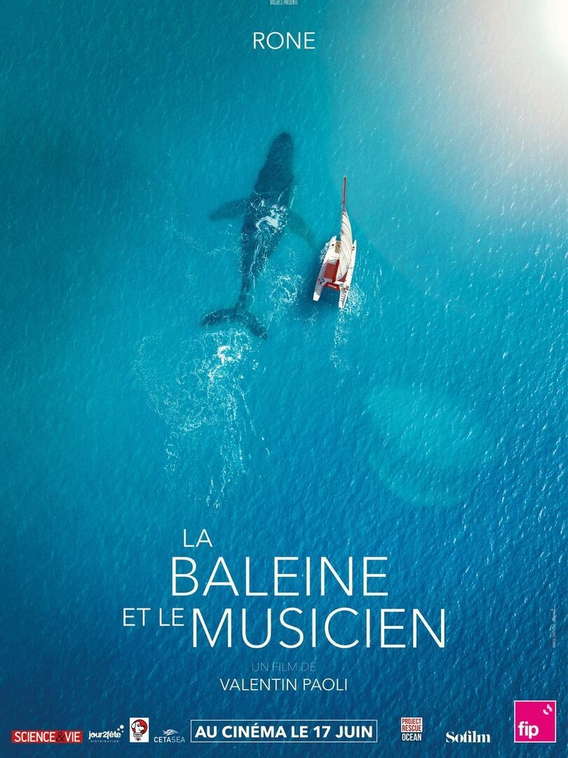 You are currently viewing La baleine et le musicien